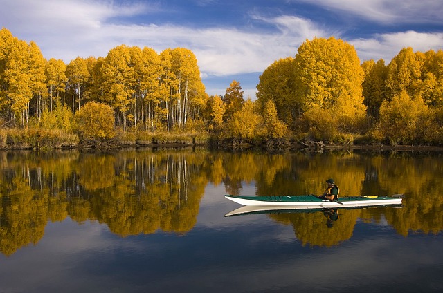kayak